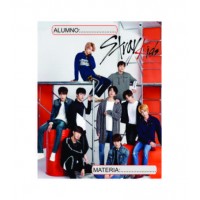 Stray Kids 1